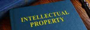 Role of Law in Protecting Intellectual Property Rights