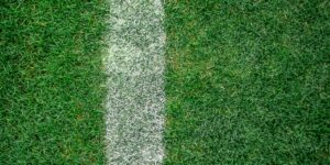 The Evolution of Outdoor Landscaping and Artificial Turf Solutions